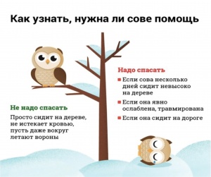  �������� ��� ���?� � ��� � ��� ������
